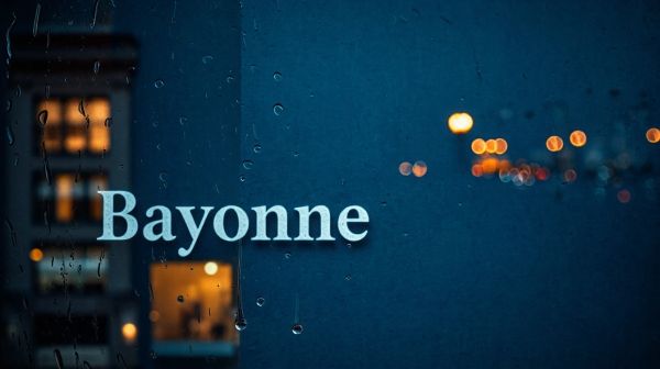 Top avocats en accident de la route à Bayonne à contacter